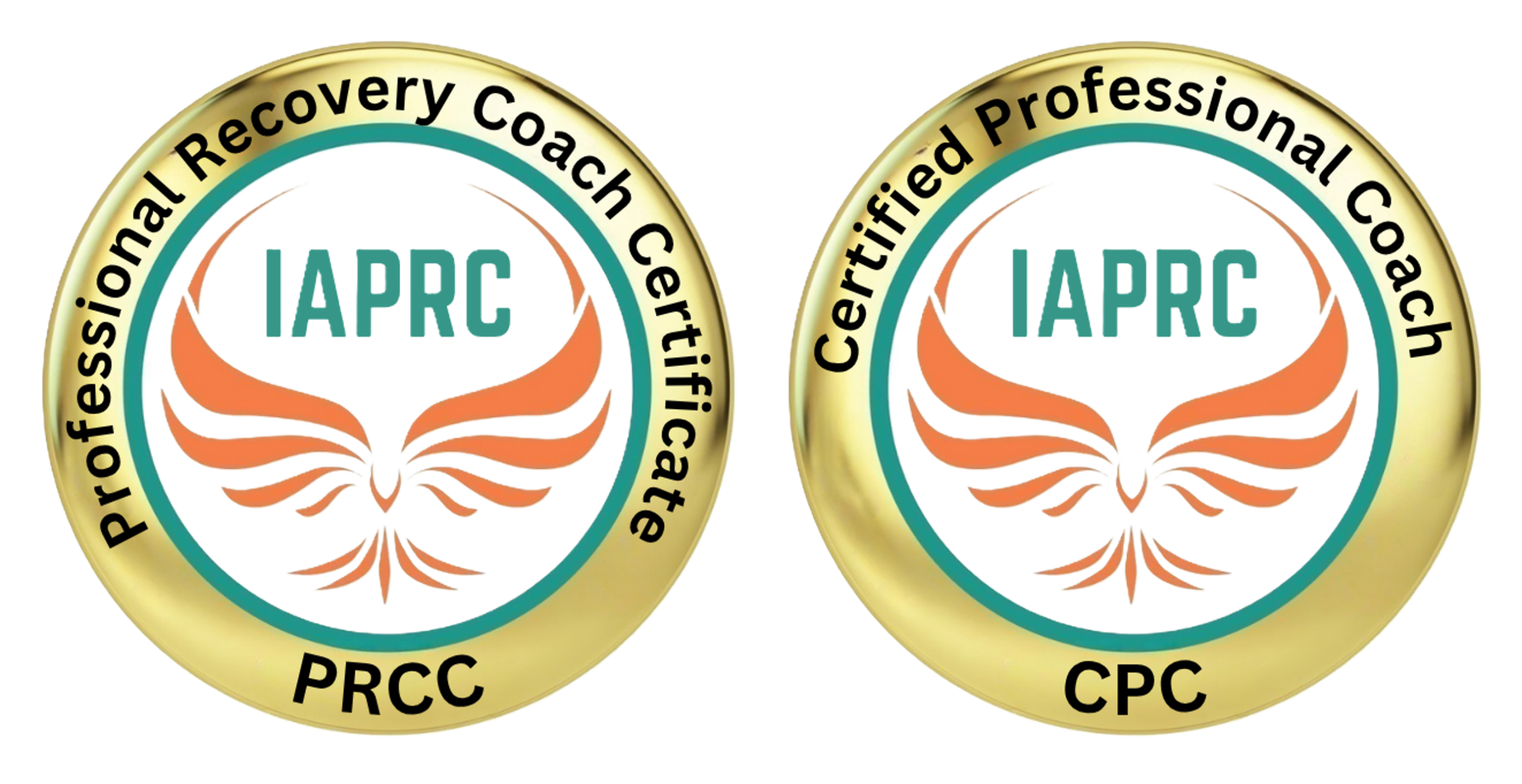 dual badge